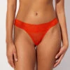 Tanga En Dentelle Transparent