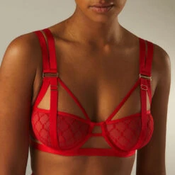 Soutien-gorge Corbeille En Tulle